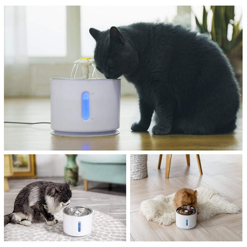 Cat Water Fountain